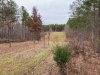Fairways 1-11-20.jpg