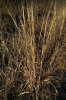 upload_2020-1-28_14-43-34.png