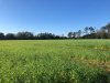 IMG_9564.JPG