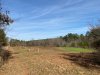 Back Plot 2-15-20.jpg