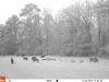 BD8F2135-A9B1-41B8-993E-74C483F9FEB6.jpeg