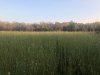 IMG_9857.JPG