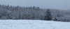 120045F3-B575-4D4D-A1B1-17AF966B41BC.jpeg