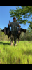 IMG_3407 (2).PNG