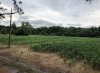IMG_0343.JPG