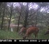20200628_070343.jpg