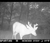 20200628_070404.jpg