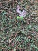 IMG_3338 small.jpg