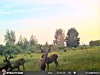 STC_0016 (2)-800x600.JPG