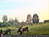 STC_0018 (2)-800x600.JPG