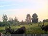 STC_0020 (2)-800x600.JPG
