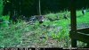 19978979-1EBF-4611-9B28-C3D9DCBE5B03.jpeg