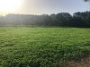IMG_0875.JPG