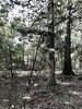 325763BC-B654-4AC6-8CC0-40A75F0296ED.jpeg