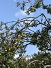 IMG_3624.JPG