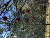 F0A15E96-52BB-4967-9A8A-AB0B8A0D37F5.jpeg