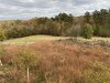 67FE01CE-AE40-4166-B3D5-527BD86E2BD7.jpeg