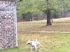DD5F10DE-044D-4574-B2F9-F1F549027F9B.jpeg