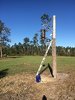 Feeder pole TCell.JPG