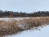 north field1.jpg
