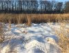 winter switchgrass after foot of snow.jpg