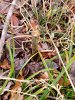 20210313_081941.jpg