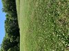646D668B-9949-46B7-9D6A-77303B51D1E2.jpeg