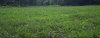 AE00B817-00DB-401E-9901-FF01359FE19C.jpeg