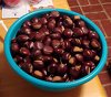 chestnuts Sept 2021 Reduced.jpg