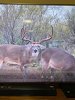 72640757-A273-4793-BD81-6AF74C31A643.jpeg
