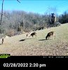 20220304_070258.jpg
