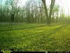 3BCA0B0A-D0D9-46F8-B47F-B0AB51F96D20.jpeg