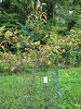 20210905_183435 res.jpg