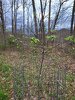 20220416_094105 resize.jpg