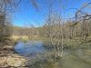 Beaver Pond .JPG