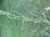 F2E819CA-73BE-4D84-883F-AFAFC83804F4.jpeg
