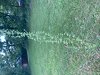 91321086-A9DF-4DE8-89A9-402DDCC06288.jpeg