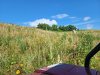 IMG_20220701_094029 (Large).jpg