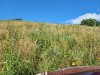 IMG_20220701_094036 (Large).jpg