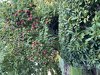 FFEC2236-A6AE-49AD-AB91-0F49023E1370.jpeg