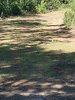 925011AC-E027-4E16-A6D0-ED7A8FE5B852.jpeg