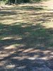 9BA8A0C7-3B9E-4691-ABCC-B5DB578D49FD.jpeg