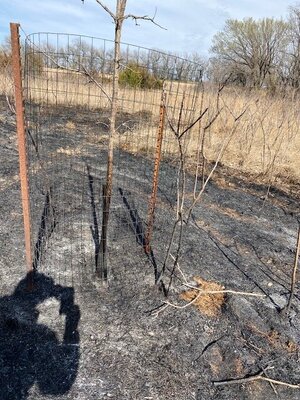 fire4.jpg