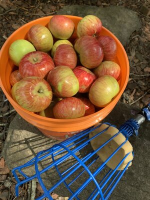 IMG_2801.jpeg