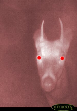 Spike red eyes.jpg