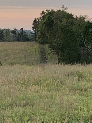 IMG_3409.jpeg