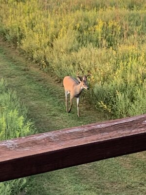 IMG_3416.jpeg