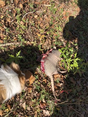 IMG_2548.jpeg