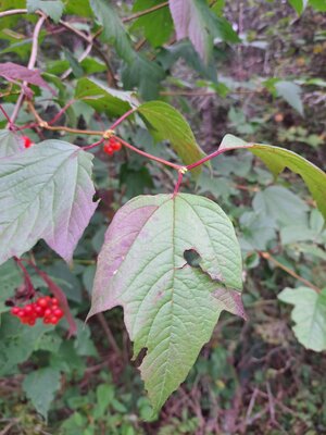 20230903_092927.jpg