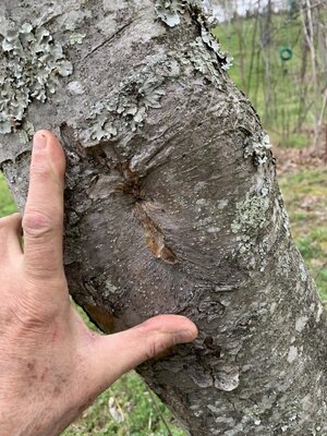 trunk.jpg